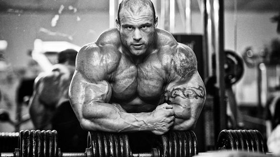 Testosterone Cypionate 250 mg Elbrus Pharmaceuticals Testosterone Cypionate 250 mg Elbrus Pharmaceuticals